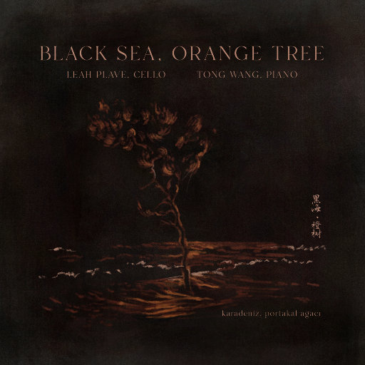 脱很紧的胸罩www
